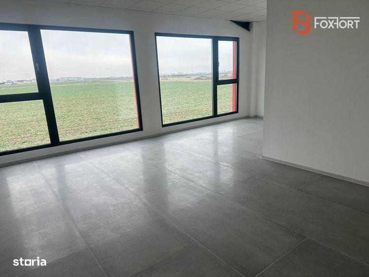 Hala industriala 500 mp + birouri, 1398 mp teren, acces TIR - Giarmata - 5