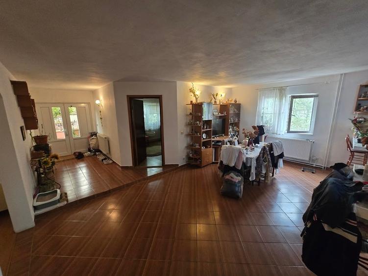 Magurele/Darasti-Ilfov/Vila individula cu crama,garaj,foisor,livada si solar - 9