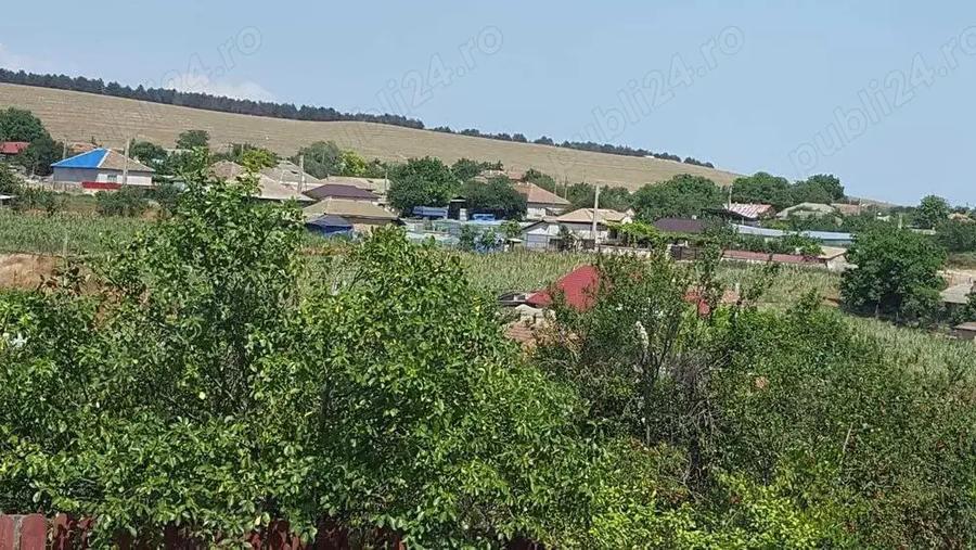 Casa la tara Camena, jud Tulcea - 3