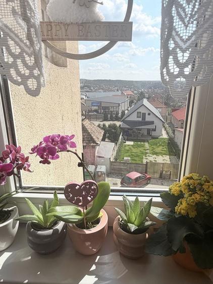 Vand Apartament cu 3 camere - 3