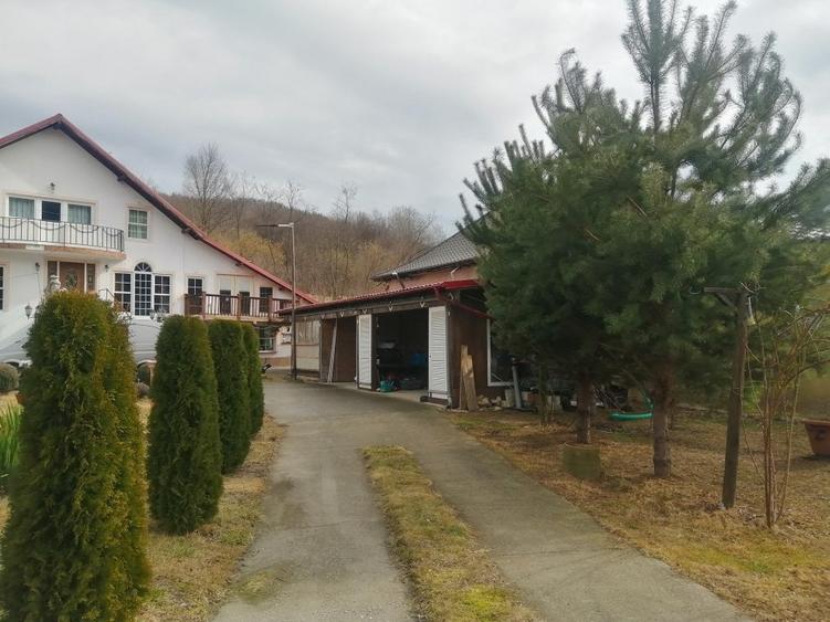 Casa P+M, Malureni -Toplita,  teren 2.798mp - 8