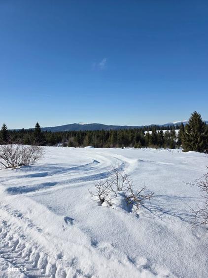 Teren 4000mp, in zona montana, Belis/Cluj - 2