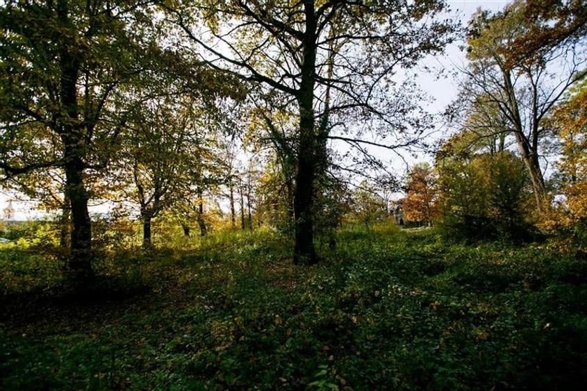 De vanzare Domeniu Baronial SAT CIL - 10