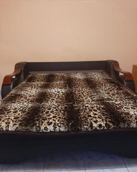 Muncii iancului maior coravu parter - 6