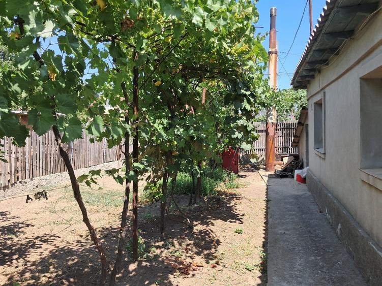 Casa 4 camere - Tuzla - zona Centrala - 80.000 euro (Cod E2+E8) - 16