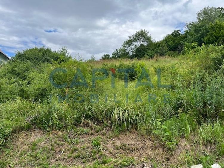 Teren Intravilan Constructii Podis-Margineni - 6