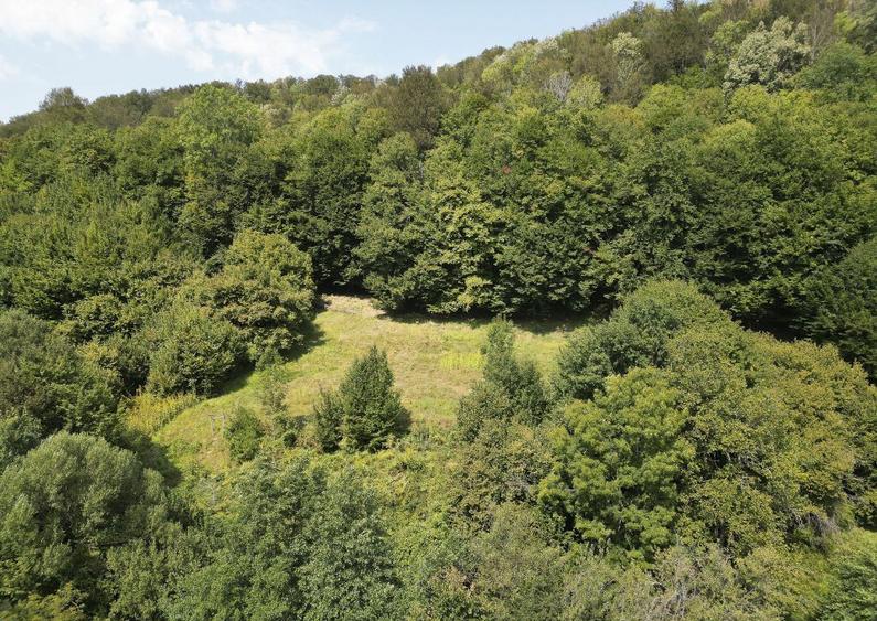 Teren intravilan de 1500 mp pe deal in Moneasa - 3