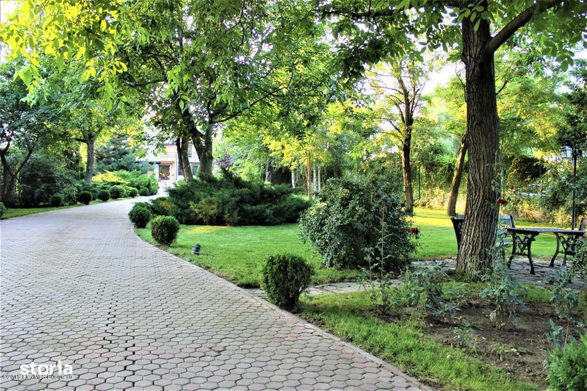 Buftea teren pe colt cu dubla deschidere 500 mp AConstruire P+E - 1