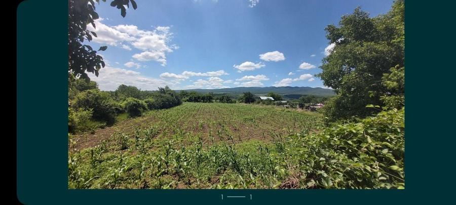 Teren intravilan Vitanesti Tifesti - 5