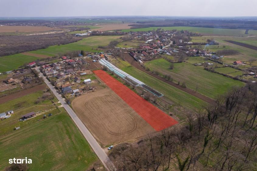 Nuci - Balta Neagra, Lot 3900 Mp, La Padure! - 9