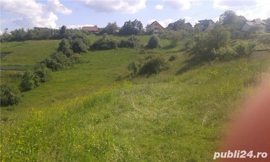 Teren de 3739 mp, în Feleacu