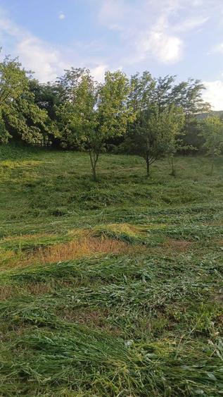Casă cu 2 camere în Ion Creangă