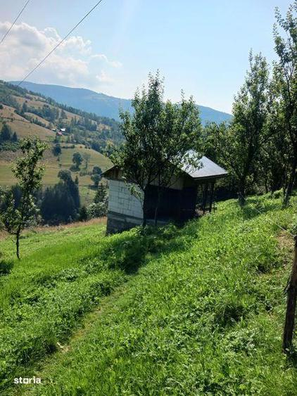 Case si teren de vanzare ALBAC, ALBA - 1