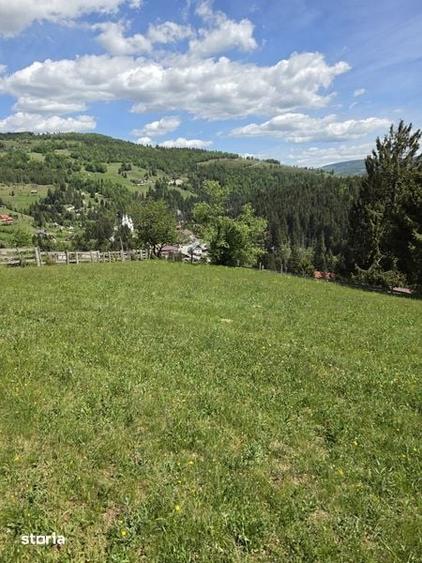 Vand teren Arieseni - 2