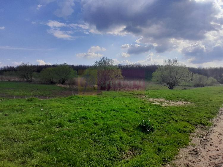 Teren Construcții intravilan de 3400 mp, în Buturugeni