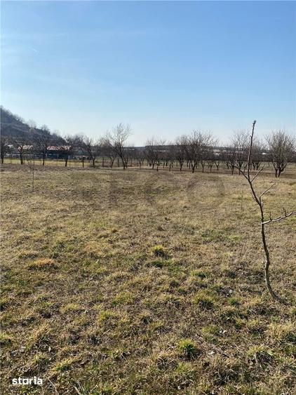 Teren de 800 mp, în Aștileu