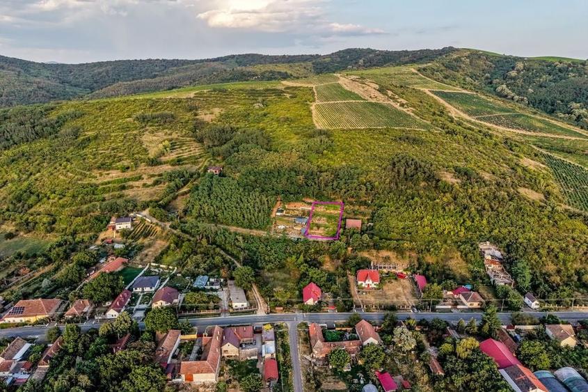 Teren de 1150 mp, în Miniș