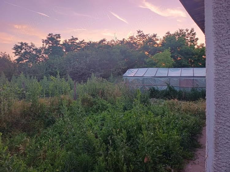 Casă cu 3 camere cu Teren 2500 Mp în Central