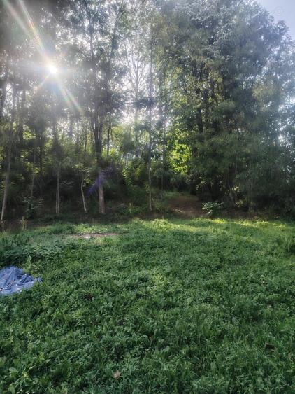 Casa boiereasca vanzare la Urseiu, Dambovita - 3