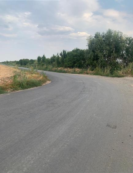 Vanzare Teren Intravilan Tarla 11 Stefanesti DJ200 - 4