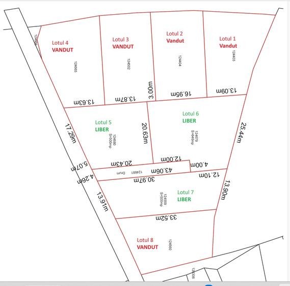 Teren intravilan 500 sau 1000 mp Bran-Tohanita la dum asfaltat - 34