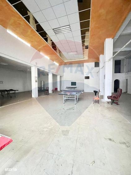 Spa?iu comercial open-space Teiul Doamnei-Colentina - 8