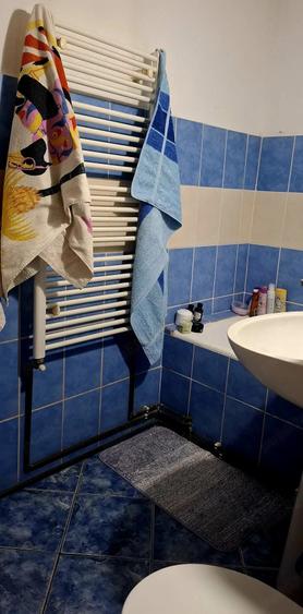 Proprietar inchiriez apartament cu 1 camera Zona Shopping City - 4