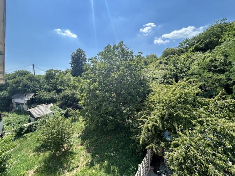 VAND O VILA IN PADUREA DIN FILIPESTI - 23