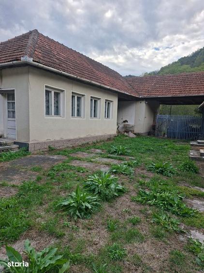 Casă cu 5 camere cu Teren 1353 Mp în Pleșcuța