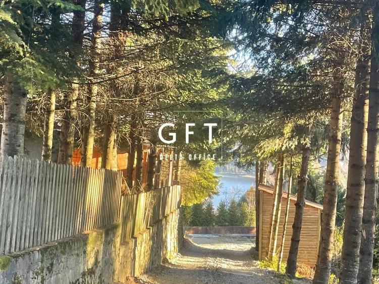 Teren intravilan 5 ari, Colibita, zona deosebita! - 8