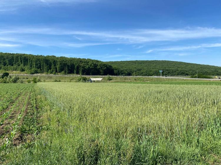 Vand teren benzinarie/servicii langa autostrada la Apoldu De Jos - 4