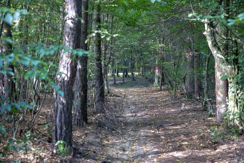 Investitie premium in turism-teren 6800mp langa lacuri Vulcan Brasov - 7