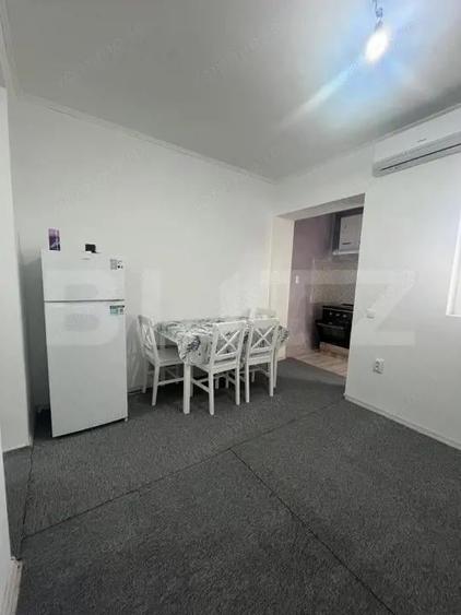 Apartament 1 camera CIUREA - 5