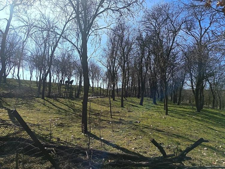 Casa ?i teren de vanzare - 9