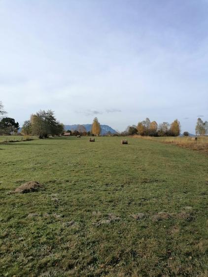 Teren in Sohodol-Bran - 9