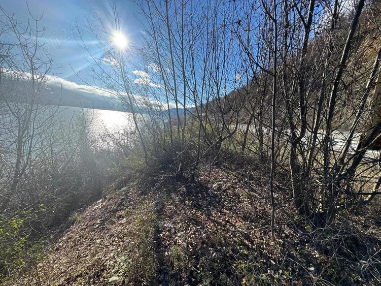 RED Imobiliare Teren intravilan in Dubova, Clisura Dunarii Deschidere la Dunare - 5