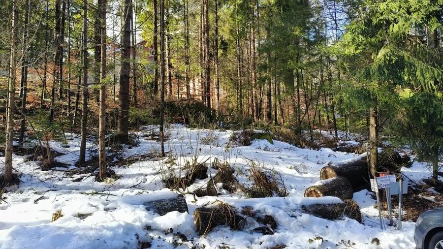 Sinaia-Teren intravilan constructii - 2