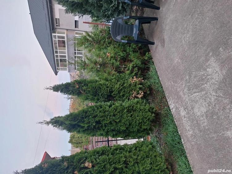 vila de inchiriat - 6