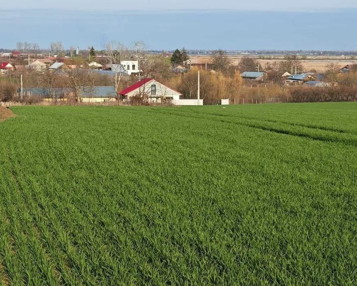 Vând loturi de 527 si 635 mp lângă Delta Neajlovului la cel mai bun preț - 1