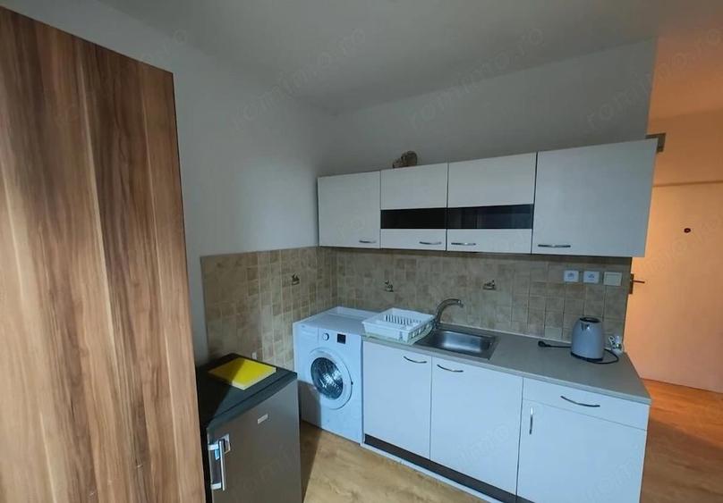 De inchiriat apartament cu o camera in zona Badea Cartan - 3