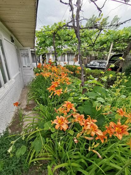 Casa de vanzare cu teren - 1