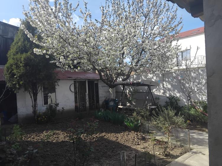 5217  Casa parter +etaj  KM 5 - 4