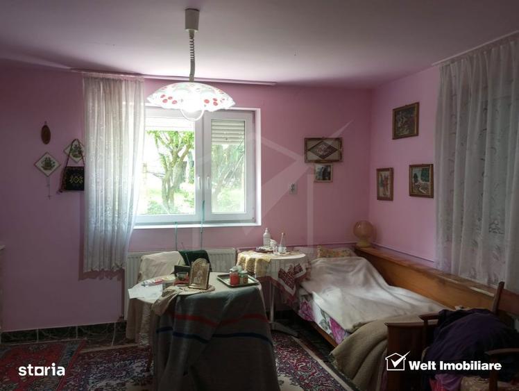 Casa cu teren 3320mp sat Dumbrava Capusu Mare - 9