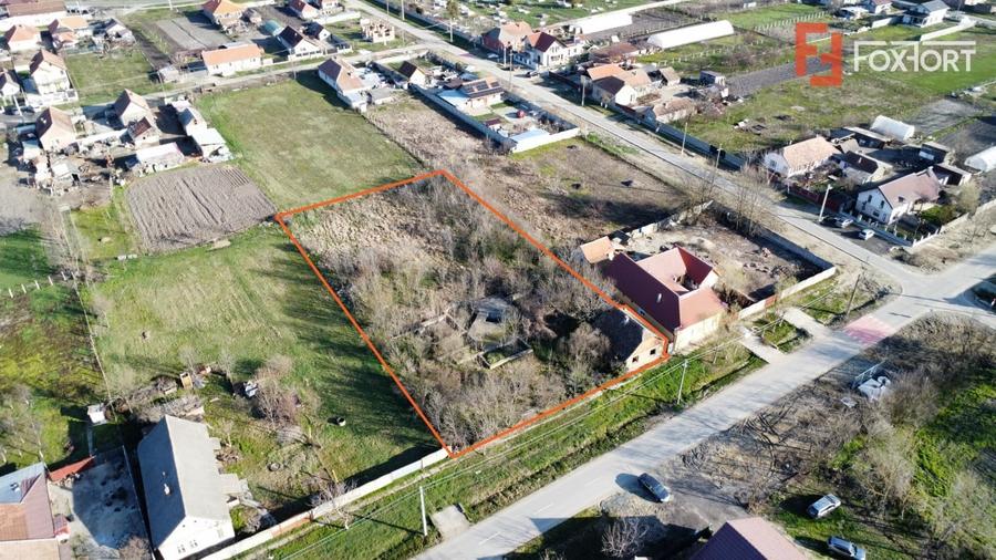 Teren intravilan 2840 mp cu fundatie - Jebel - 7