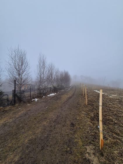 Teren cu priveliste deosebita /muntii Bucegi,in sat Pestera/Moeciu zona La Odai - 10