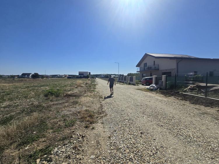 Gulia, Tartasesti, Eden Forest Residence,Samurcasi - 9