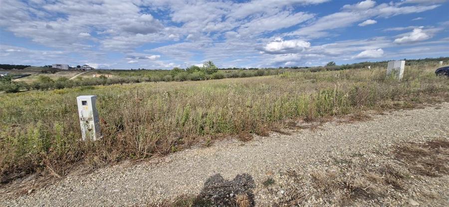 RECO Teren  intravilan in Saldabagiu de Munte - 7