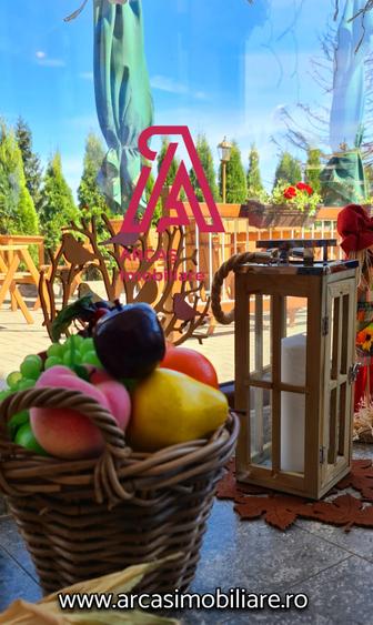 Afacere la Cheie Hotel de vanzare Statiunea Paltinis! - 8