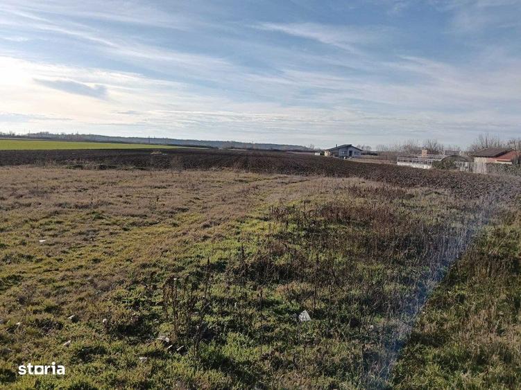 Teren intravilan investitie, Bucovat - 1