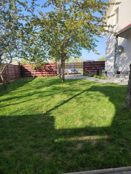 Casa 4 camere ?i curte in Darza Crevedia - 5